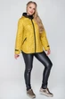 Куртка Miorichi Мишель 50 Горчичный (01027-yellow50) - изображение 5