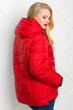 Куртка Miorichi Аврора 60 Красный (01018-r-red60) - изображение 6
