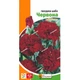 Семена Гвоздика Шабо красная (727047) - изображение 3