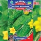 Огірок Веселі метелики Білий, бежевий, кремовий Насіння Florium (713214) - зображення 2