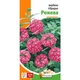 Вербена гібридна Рожева Рожевий Насіння Florium (726772) - зображення 2