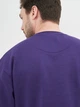 Свитшот мужской JHK Sweatshirt SWRA290-PU S (2000000003993) - изображение 5