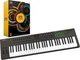 MIDI-клавиатура Nektar Impact LX61+ - изображение 6