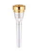 Мундштук для трубы YAMAHA TR-14C4GP GP Series Trumpet - изображение 1