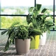 Горшок для цветов Form-Plastic Тоскана Круглая-17 3 л серый (0743-059) - изображение 4