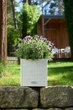 Умный горшок Lechuza CUBE Cottage 30 квадратный 12л 30 x 30 см Белый - зображення 8