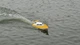 Катер Fei Lun Racing Boat RTR 350 мм 2,4 ГГц (FL-FT007Y) - зображення 5
