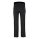Штаны Salewa Terminal Pants Mns M Черный (1054-013.002.8749) - изображение 2