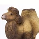 Фігурка Верблюд двогорбий Safari Ltd 290929 - зображення 3