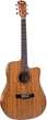 Акустическая гитара Tayste TS-25-41 - изображение 1