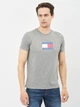 Футболка хлопковая длинная мужская Tommy Jeans 10643.3 L Серая - изображение 1