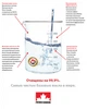 Моторное масло Petro-Canada DURON UHP 10W-40 20л - изображение 3