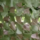 Сетка маскировочная Shade & Shelter серия Pro Double Sided 3*3 м зелено - коричневая - изображение 1