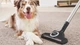 Пилосос для сухого прибирання MIELE SGEF3 Cat&Dog червона малина - зображення 9