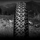 Велопокришка безкамерна Continental Race King, 27.5 "x2.00, 50-584, Black, складна, PureGrip, ShieldWall System, Skin, 630 г (CO0150309) - зображення 5