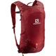 Рюкзак Salomon TRAILBLAZER 10, Универсальный (11367200) - изображение 1