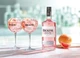 Джин Bickens Premium Pink Grapefruit 40% 0.7 л (8000040520102) - изображение 3