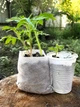 Мішечки для рослин Agrolife 29 х 30 см 20 шт. у пач. (10333019) - изображение 7