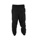 Штаны US IPFU Physical Fitness Uniform Pants 2000000040257 Черный M - изображение 1