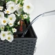 Умный горшок Lechuza Balconera Cottage 50 прямоугольный 8 л 19 x 50 x 19 см Гранит - изображение 11