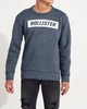 Свитшот мужской - свитшот Hollister HC6765M M Синий - изображение 1