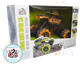 Трюковая Машинка Вездеход Fever Buggy4WD Оранжевая Масштаб 1:16 Sulong Toys Original - изображение 2