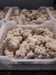 Свежие Грибы Гериций гребенчатый, Ежовик (Hericium erinaceus) 1кг - изображение 4