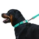 Ошейник Для Собак BronzeDog Active Нейлоновый со Светоотражением и Металлической Пряжкой с Гравировкой Ментоловый 25 мм 43-66 см (38/1308) - изображение 4