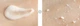 Пілінг-скатка для сухої/чутливої шкіри Scinic Face Peelter Milk Peeling 80 мл - зображення 4