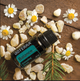 Суміш ефірних олій для відновлення рівноваги doTerra Balance® Grounding Blend "Баланс" 15 ml - зображення 8