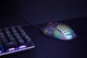 Мышь Trust GXT 960 Graphin Ultra-lightweight RGB USB Black (TR23758) - изображение 8