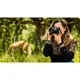Объектив Canon RF 85mm f/2.0 MACRO IS STM (4234C005) - изображение 6