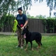 Поводок для Собак Bronzedog Active из Шнура Тренировочный Салатовый 7 мм 1000 см (47355) - изображение 9