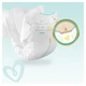 Подгузник Pampers Premium Care Mini Размер 2 (4-8 кг), 148 шт (4015400770275) - изображение 6