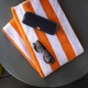 Акустическая система JBL Flip 5 Black (JBLFLIP5BLKEU) - изображение 2