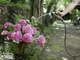 Wąż ogrodowy Karcher Performance Premiun 5/8 - 25 m (2.645-326.0) - obraz 6