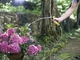 Шланг Karcher Performance plus 1/2 - 20 м (2.645-318.0) - зображення 6