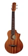 Укулеле IBANEZ UEWT5 OPN 82101 - зображення 2
