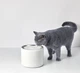 Фильтр Petkit Fountain Filter Eversweet 2/3 (2001000207831) - изображение 4