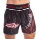 Шорты для тайского бокса и кикбоксинга Hayabusa Loin Warrior Heroe 0240 размер S (44-46) Black-Brown - изображение 1