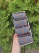 Набор женских носков с принтом Олени 39-43 размер Разноцветный 1786 - изображение 2
