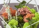Флорариум cо мхом и растениями Artis Green «Coral reef» G5 - изображение 2