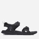 Мужские сандалии Columbia 2 Strap 1907061-010 41 (8US) 26 см Черные (0193553679493) - изображение 1