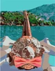 Картина по номерам Rosa Start Relax 35 х 45 см (4823098525202) - изображение 1