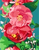 Картина по номерам Rosa Start Дикий пион 35 х 45 см (4823098525288) - изображение 1
