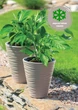 Горщик для квітів Form-Plastic Sahara-30 бежевий зі вставкою (2720-051) - зображення 2