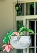 Горшок подвесной Form-Plastic Sahara ШАР-30 12,8 л белый (3150-011) - изображение 2