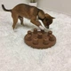 Інтерактивна іграшка-головоломка для собак Dog Smart Composite Outward Hound Nina Ottosson - зображення 4