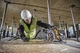 Пила дискова акумуляторна DeWalt DCS579NT - зображення 6