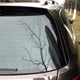 Бокові дефлектори/вітровики/спойлери на VW Passat B7 Wagon/Alltrack 2011-2015 C-Design (чорний глянець) - изображение 3